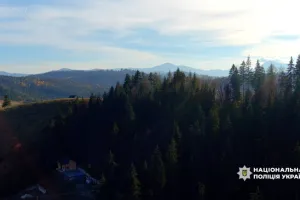 Захоплення земель лісового фонду