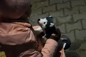Злочини проти дітей