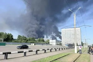 Бавовна в РФ